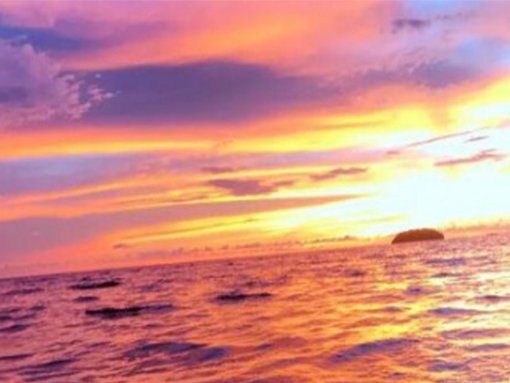 �p�ٙC(j��)��ʲô��Ҫ�����c(di��n)��